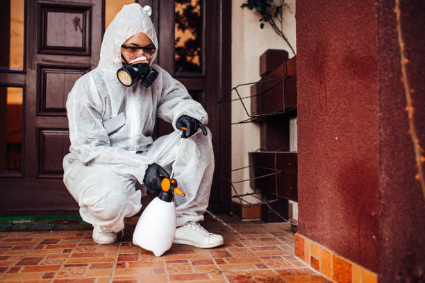 Reliable Cockroach Control contractor in Montrose, CO by Nex Pest Control